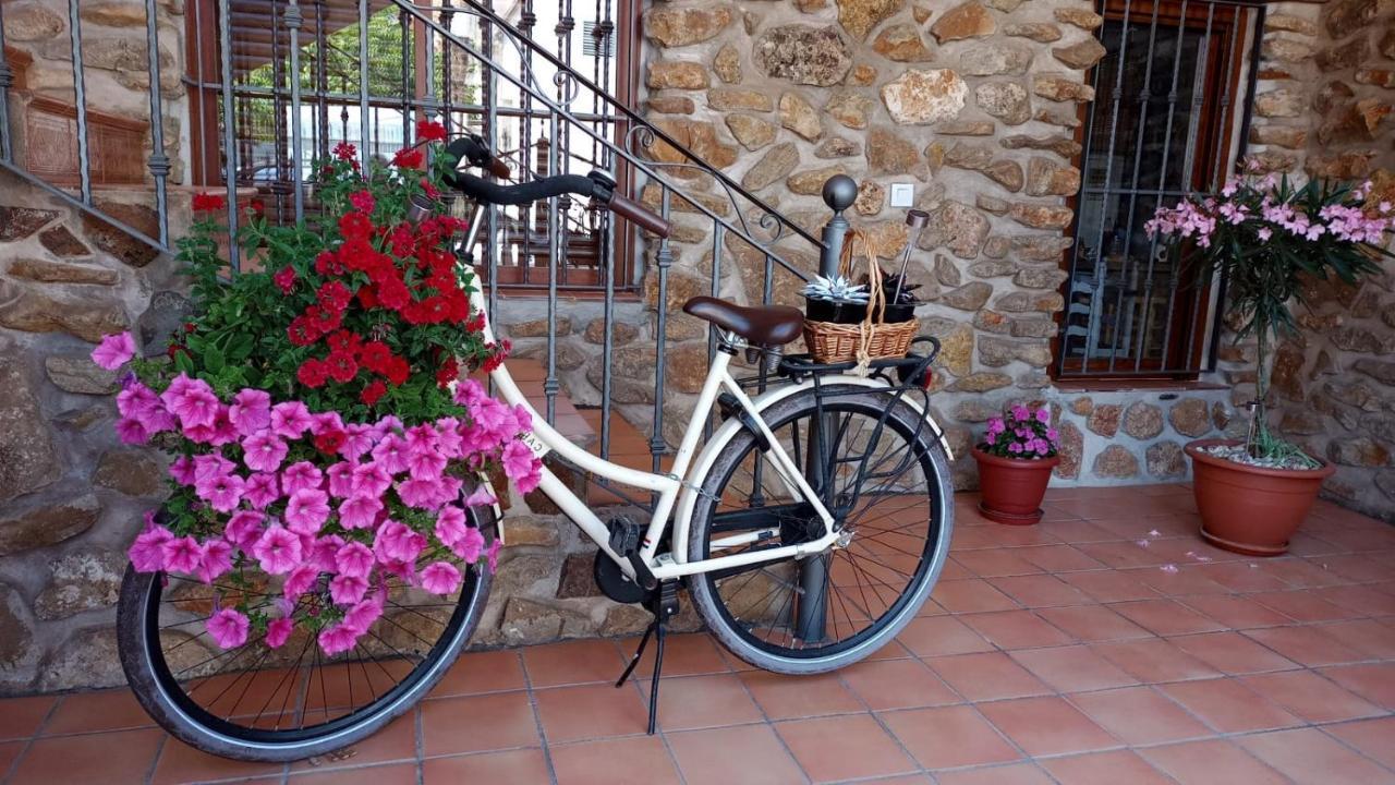 Casa Rural Montgo - Riopar Bagian luar foto